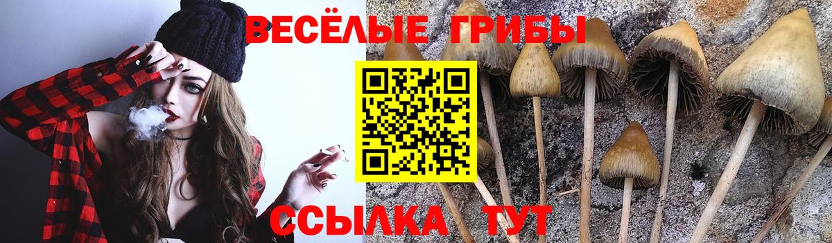Псилоцибиновые грибы Magic Shrooms Кушва