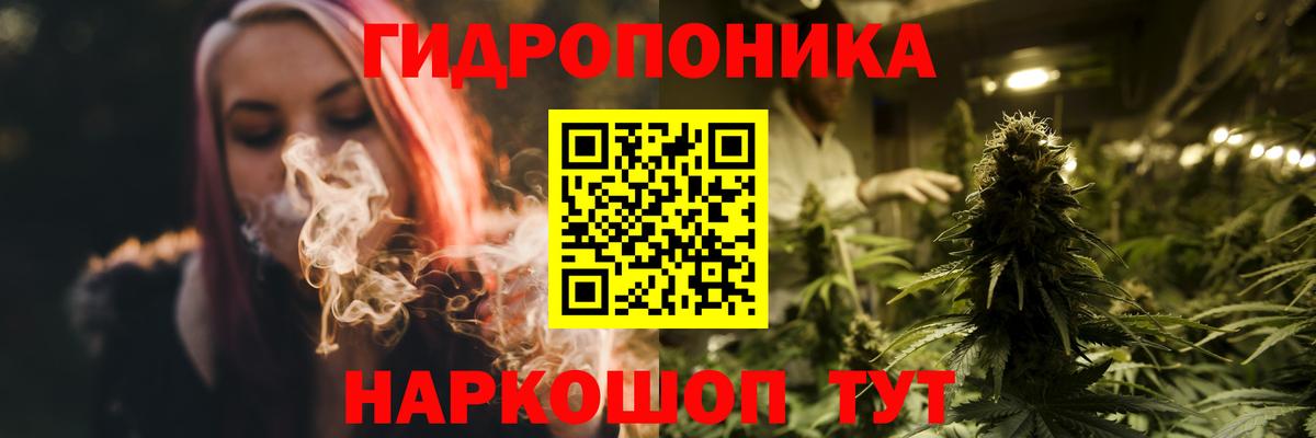 Шишки марихуана сатива Кушва